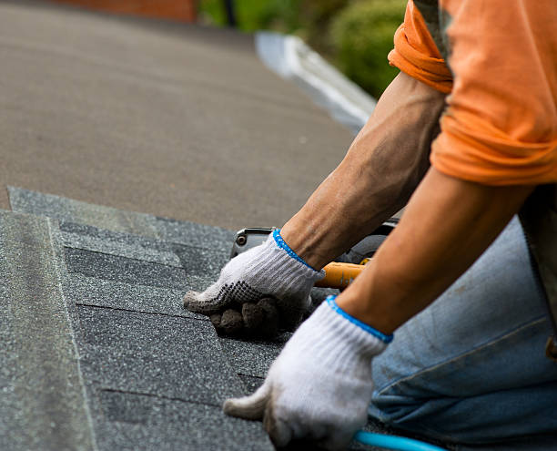 Best Roof Gutter Cleaning  in Clatskanie, OR